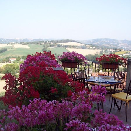 La Terrazza Fio...Rita Bed and Breakfast Ripa Eksteriør billede